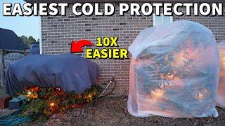 This Is The EASIEST Cold Protection Method In The World!