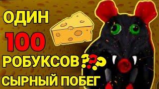 Сырный лабиринт роблокс но если словят трачу РОБУКСЫ Как пройти cheese escape roblox Чейз Play