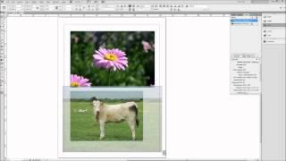 InDesign Tutorial: Working with Images -HD-