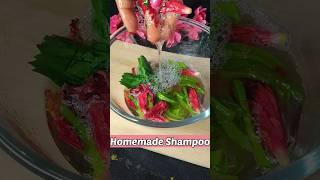 World's Best Natural Shampoo For Hair Growth | Diy Hibiscus Shampoo at home #shorts #shampoo