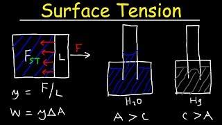 Surface Tension of Water, Capillary Action, Cohesive and Adhesive Forces - Work & Potential Energy