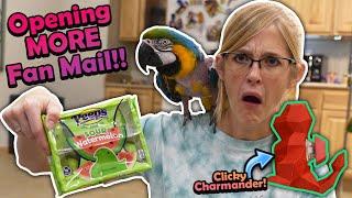 Watermelon Peeps in our Mail? (Fan Mail 28- Part 2!)