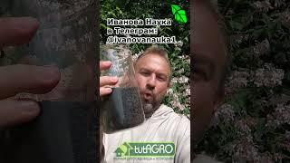 КАК ДЕЛАЮТСЯ ЧЕРНЫЕ УДОБРЕНИЯ ГУМАТЫ. Аминосил своими руками. Домашнее удобрение и стимулятор роста.