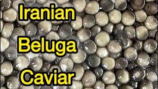 Beluga (huso huso) premium caviar #caviar #belugacaviar #fish #seafood #fishmeat #fishing #beluga