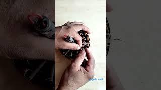 ceiling fan main lead connection