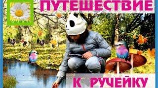 Путешествие к ручейку Даши и друзей