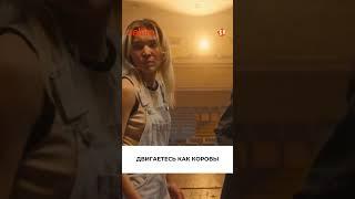 Двигаетесь как коровы | Тырна  | Сериал