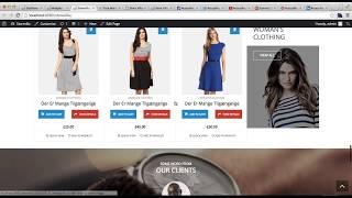 StoreVilla Free WordPress Theme - How to Configure Footer and Sub Footer Area | WordPress Tutorial