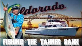 Yellowtail & Tuna Fishing The Tanner Bank on the elDorado