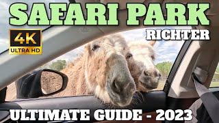 RICHTER SAFARI PARK FULL GUIDE - NAGYKŐRÖS - HUNGARY - 4K - 2023