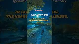 ALLAH WILL HEAL THE HEARTS OF  THE BELIEVERS ¦¦ SURAH AT-TAUBAH VERSE 14 ¦¦