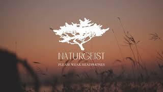 naturgeist - welcome