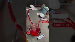 Hemodialysis working model _ biology project #science #shorts