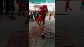 Baby lion #automobile #funny #camping #playground #capcut #cute #dancevideo #subscribe #kids