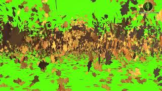 Falling Leaves Green Screen HD