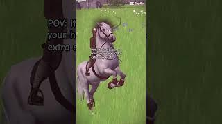 lol  #horse #equinegame #horsetype #game #sso #ponyhorse #starstableonline #miniaturehorse #equine