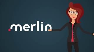 About MERLIN project