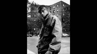 FREE Old Skool Boom Bap Nas Type Beat | Never Settle - (Prod. Manuel)