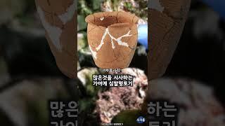 [익산] 미륵산성 집수지에서