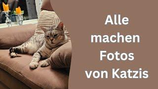 Wie die Leute sich über Katzen im Wohnmobil freuen und ich konnte nicht aufhören zu lachen