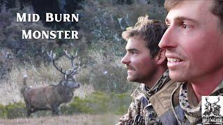 Mid Burn Wapiti Ballot 2023 - Would You Take the Shot? 10-Day Fiordland Wapiti Hunting Expedition