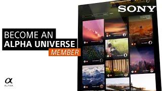 Become An Alpha Universe Member: Introducing Public Profiles | Sony Alpha Universe