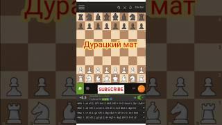 Учимся ставить Дурацкий мат. Мат в 2 хода! #chess #шахматы #шахматыдлявсех #шахматыдляначинающих