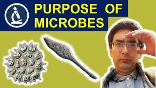 What is the purpose of microorganisms?  191