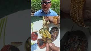 Jackie Shroff's Baingan Bharta Recipe #cooking #bollywood #recipe