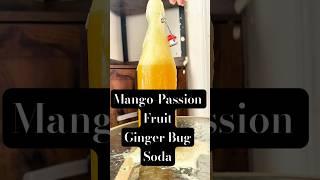 Ginger Bug Soda Recipe: Mango-Passion Fruit Explosion You’ll Crave!