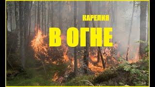 Карелия в огне | Добровольцы | Дело было в гараже