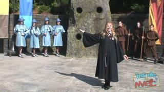 Beauxbatons girls and Durmstrang guys perform at the Wizarding World of Harry Potter