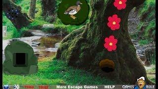 Temperate Rainforest Escape walkthrough Games2Rule.