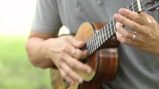 Jake Shimabukuro - "Blue Roses Falling" at Old Settler's Music Festival 2015