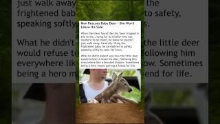 Fawn Followed Her Rescuer #wholesome #deer