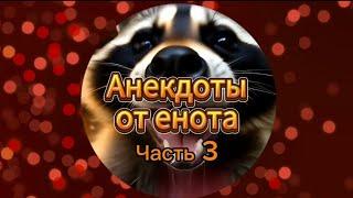 Анекдоты от енота. Часть 3: про мадам Рабинович, про льва, про племя людоедов, про гопников и другие