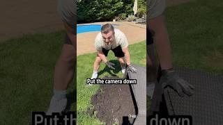 Framing Brother For Destroying Mom’s Garden