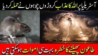 Mice rain in Australia | Around The Fact | Muhammad Irfan Aslam