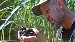 Recreating Terra Preta: The Search for Ancient Composting Secrets