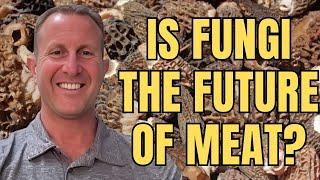 Is the Future of Meat Actually Fungi?