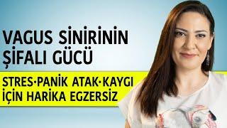 Vagus Sinirimizi Uyarıyoruz!  Stres - Panik Atak ve Kaygı için Harika Egzersiz