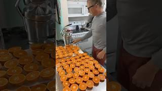 Sugar Diet…Full Day On Orange Juice Only?