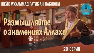 Необычное знамение | Размышляйте о знамениях Аллаха [20 Серия] | Мухаммад Рабит Ан-Наблюси