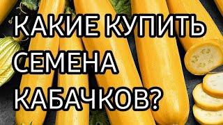 СЕМЕНА КАБАЧКОВ / КАКИЕ КУПИТЬ СЕМЕНА КАБАЧКОВ?