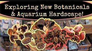 NEW & INSPIRING Botanicals & Hardscape For Nature Tank Aquascaping. Stone, Wood & Tannins. #BETTAS