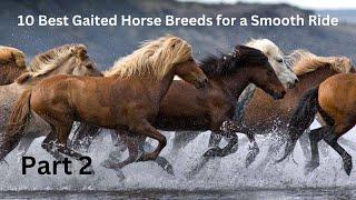 10 Best Gaited Horse Breeds for a Smooth Ride