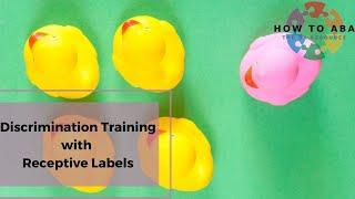 Effective Discrimination Training: Using Receptive Labels in ABA