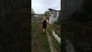 Егор и туалет: