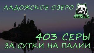 Русская рыбалка 4. Озеро Ладожское. Фарм. Спиннинг. Состязание. Палия. Техасская оснастка.