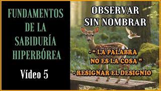 Fundamentos de la S.H. Observar sin nombrar